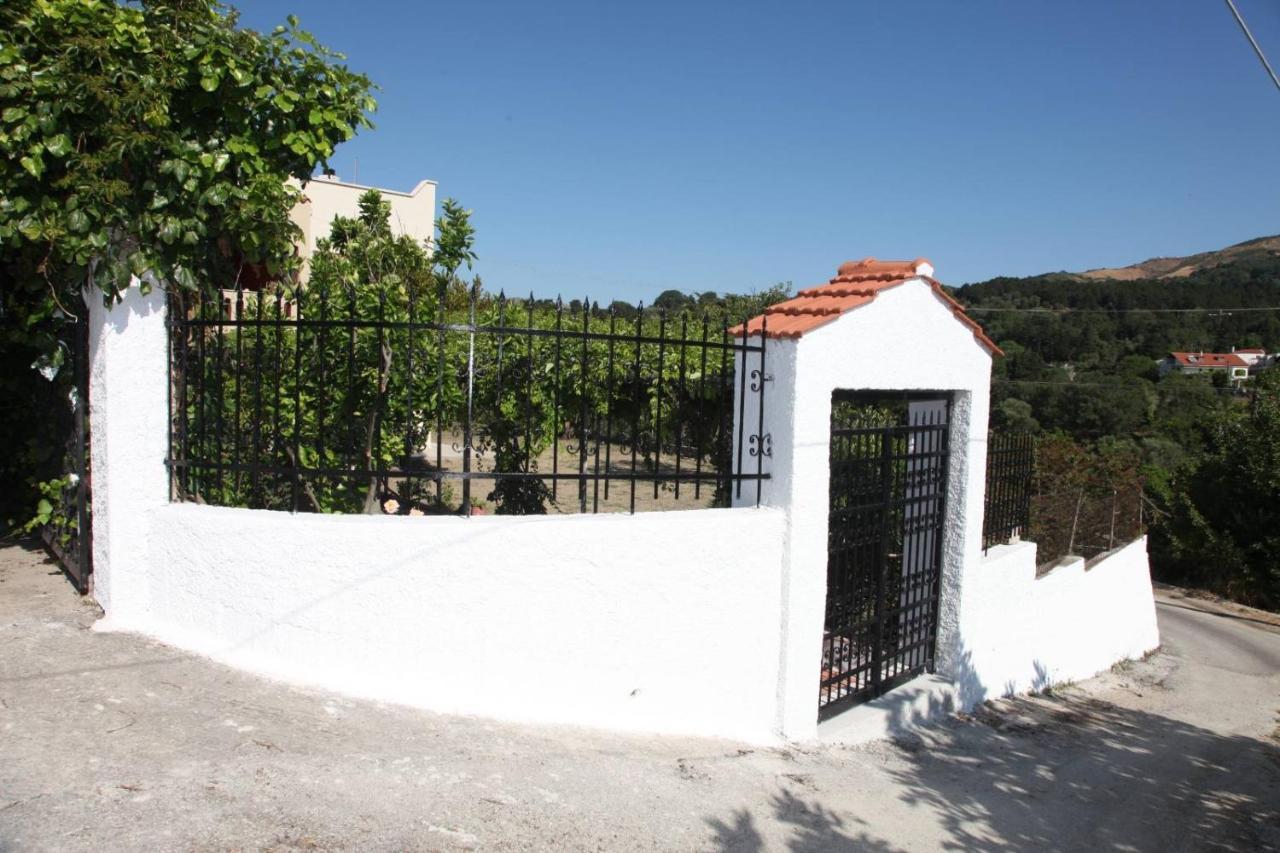 Hellenick House Villa Agios Ioannis  Exteriör bild
